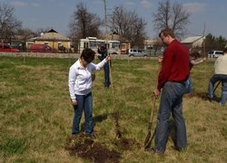 Actions “Clean Environment” and “Plant a Tree”